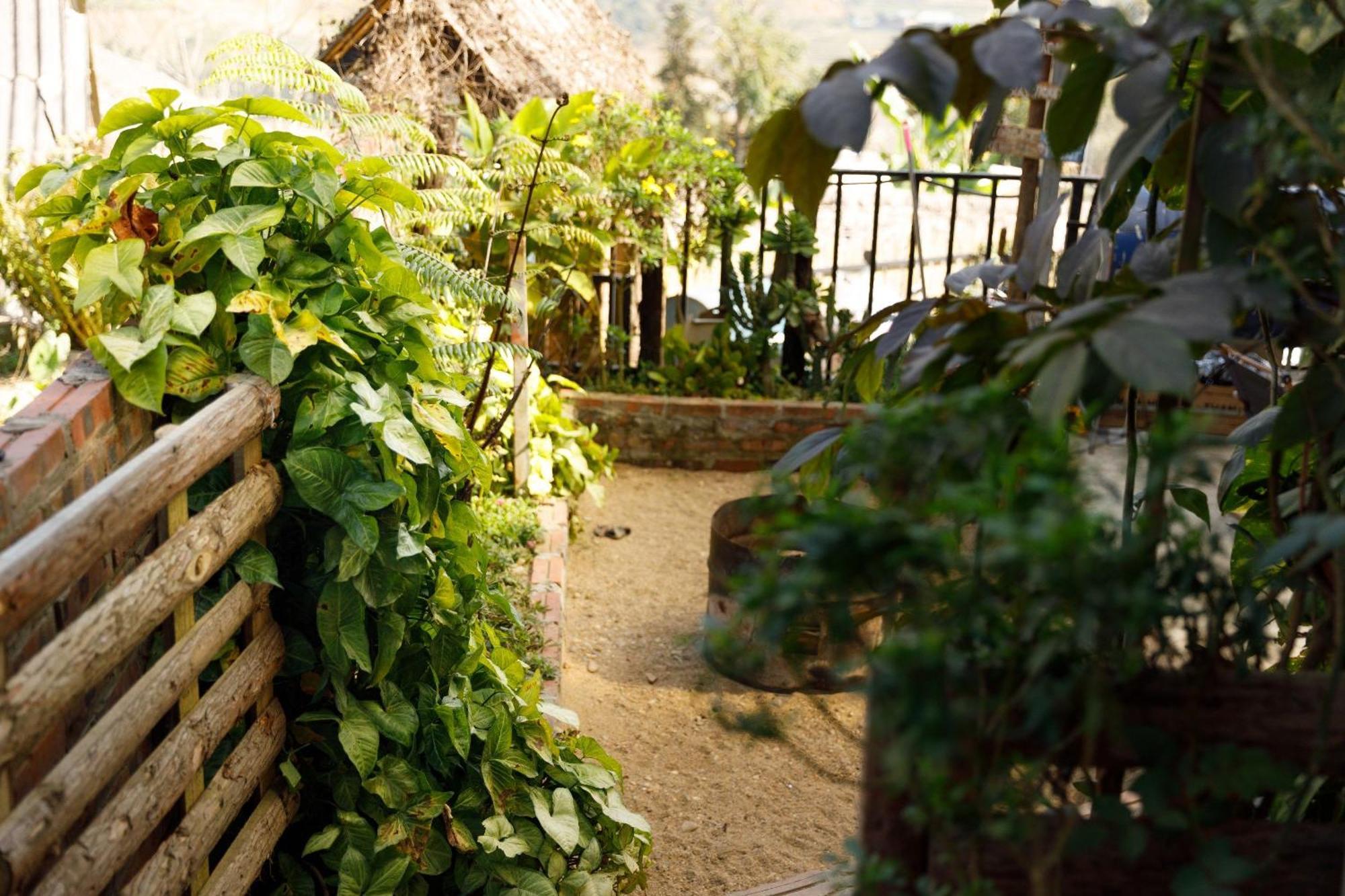 Sapa Plum Eco House Hotel Екстериор снимка